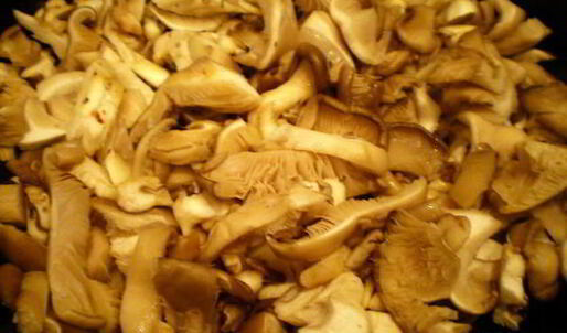 мясные роллы в винно-грибном соусе