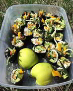 Овощные роллы без риса