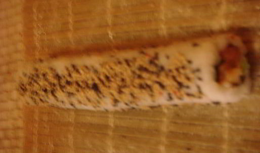 роллы ассорти