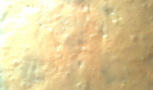 рулет леопард