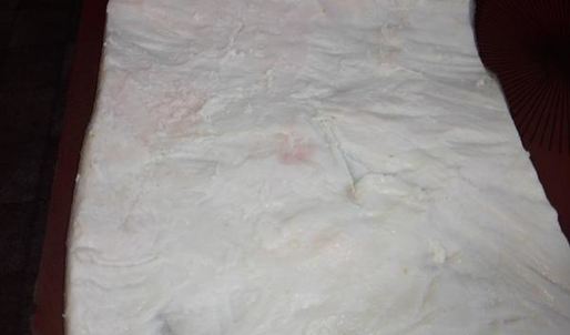 рулеты из котиков