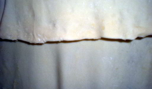 самса узбекская