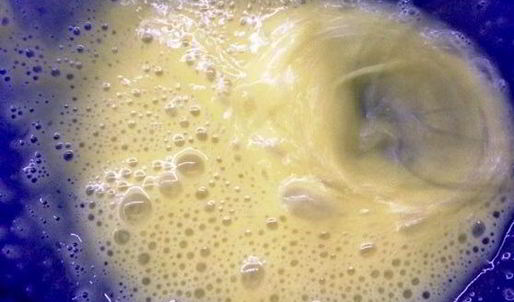 сыр филадельфия