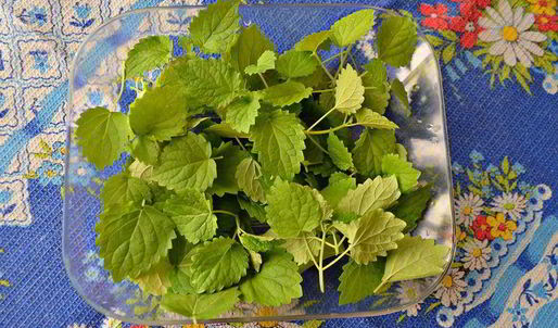 тарталетки вкусный пикник