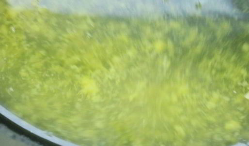 лимонный тарт