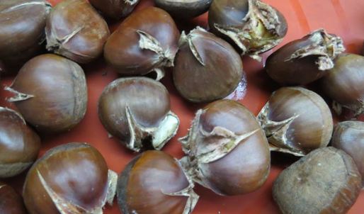 шоколадно-каштановый тарт