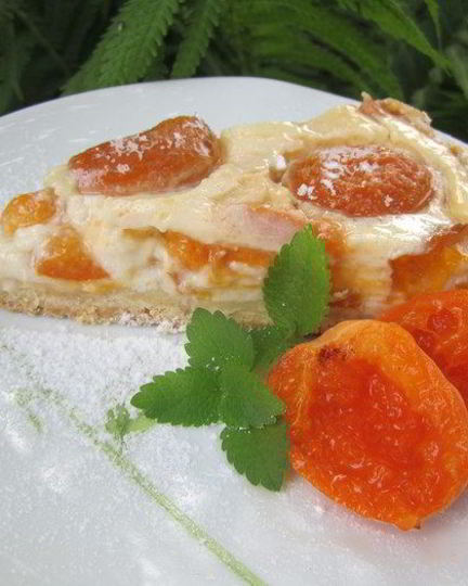Рецепт тарта абрикосового кисленького