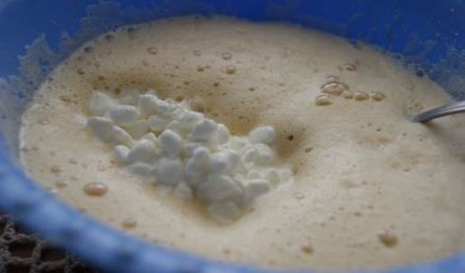 тарт с зерненым творогом и медом