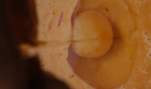 тыквенно-карамельный тарт