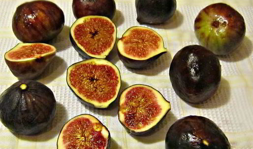 закусочный тарт с сыром джюгас и инжиром