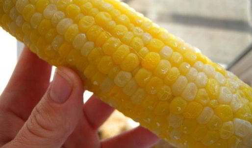 веселые яичницы