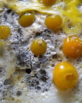 Яичница со шпинатом и физалисом