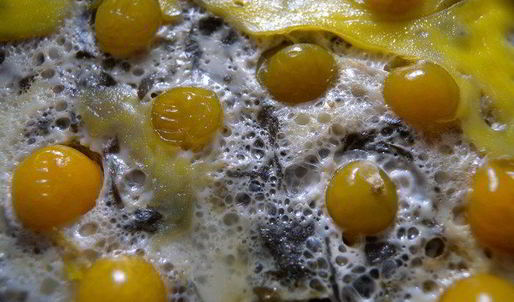 яичница со шпинатом и физалисом