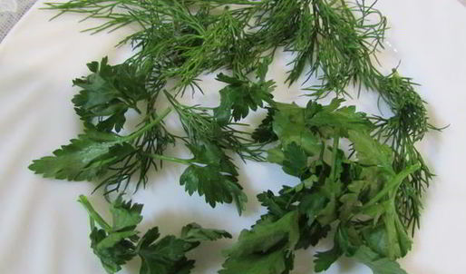 заливное морское дно