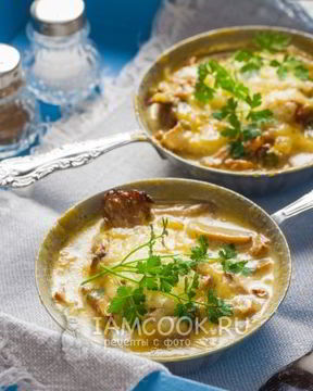 Жульен из лисичек