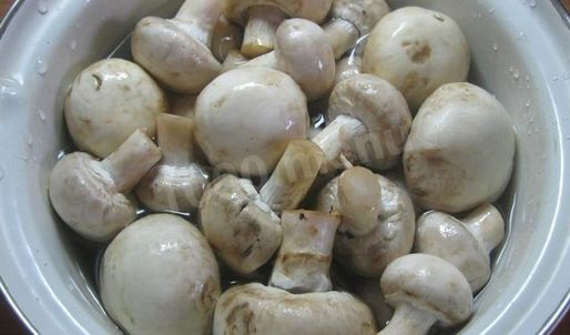 жульен парижский шик